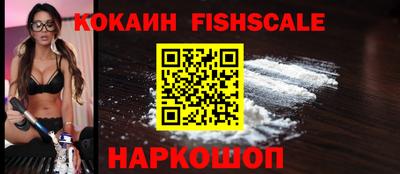 дмт Гай