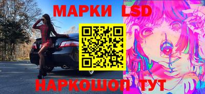 дмт Гай