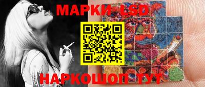 прущие грибы Гатчина