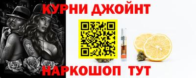 дмт Гай