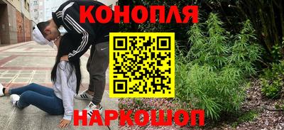 прущие грибы Гатчина