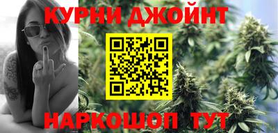 дмт Гай