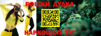 прущие грибы Гатчина