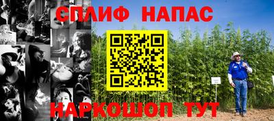 прущие грибы Гатчина