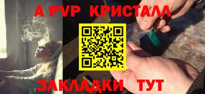 дмт Гай